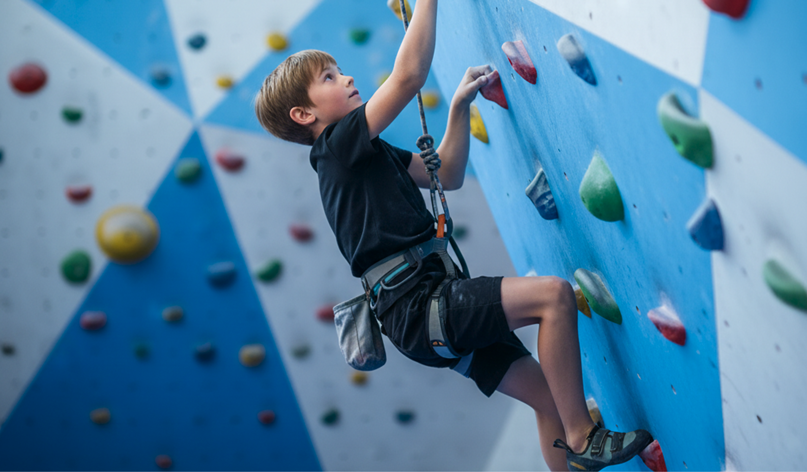 Rock Climbing Gym Franchise Guide Costs Pros Cons Roller